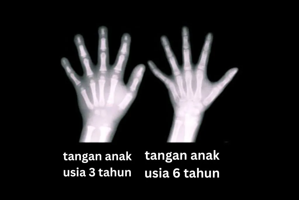 Ibu dan anak bermain bersama